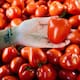 Ante el alza del 99.2% en el precio del jitomate por sequías y plagas, especialistas sugieren consumir purés o vegetales de temporada entre junio y agosto para mitigar el gasto