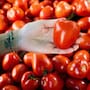 Ante el alza del 99.2% en el precio del jitomate por sequías y plagas, especialistas sugieren consumir purés o vegetales de temporada entre junio y agosto para mitigar el gasto