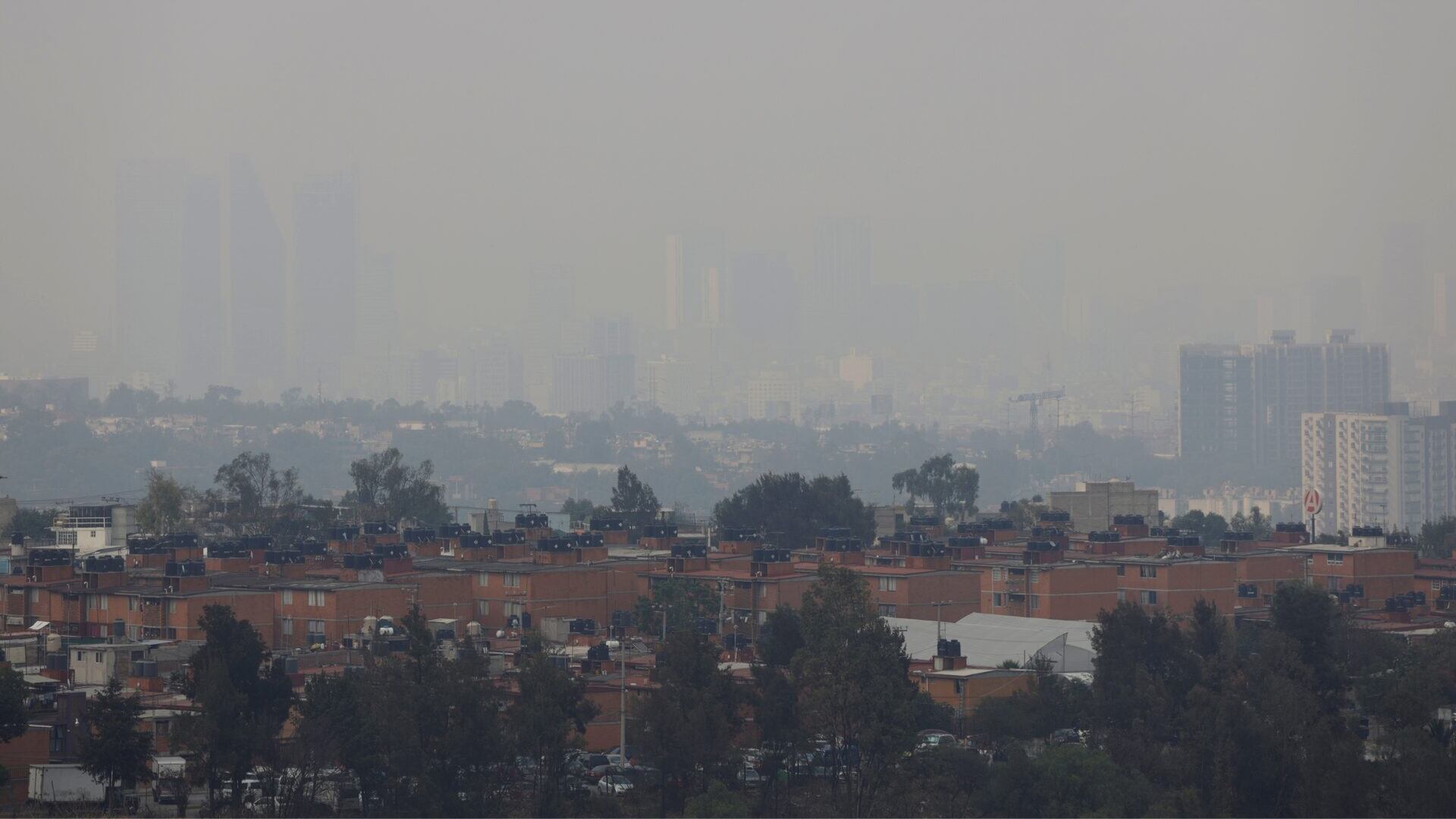 La iniciativa plantea activar el home office obligatorio cuando se declare contingencia ambiental en la Ciudad de México. /Reuters