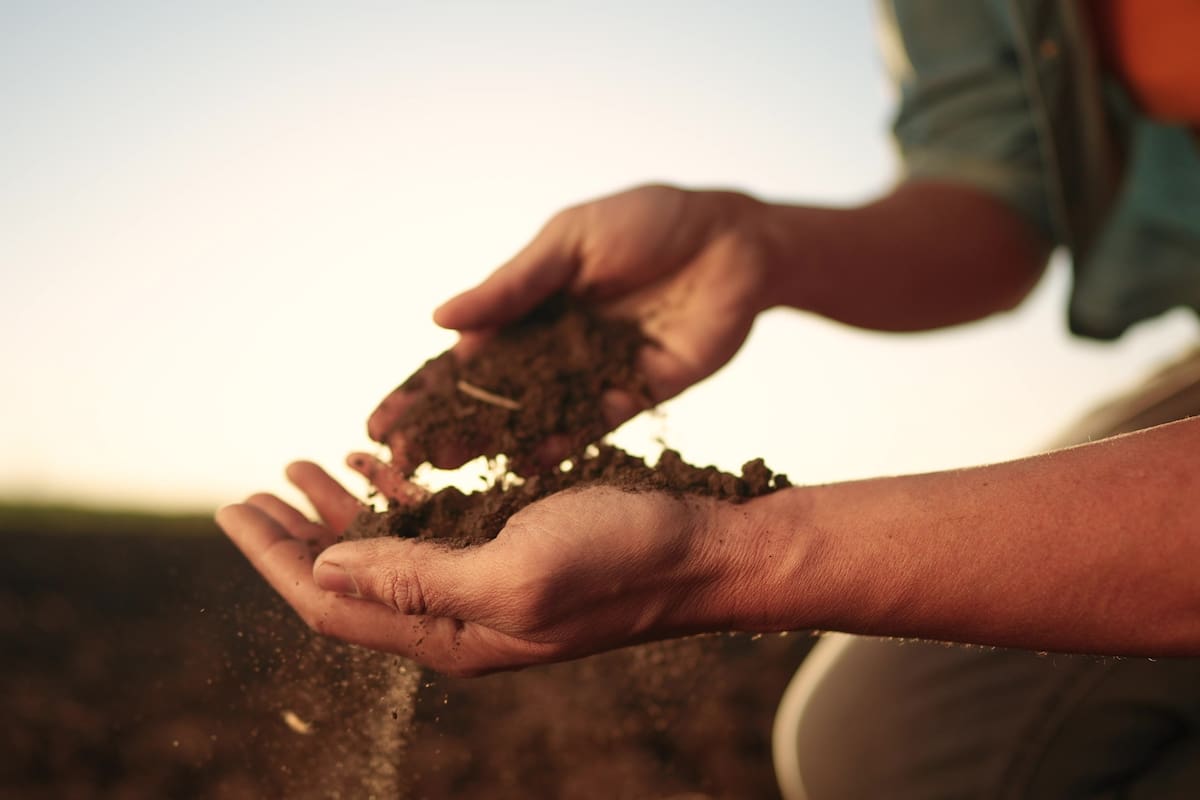 Apuesta Sonora a la reconversión agrícola