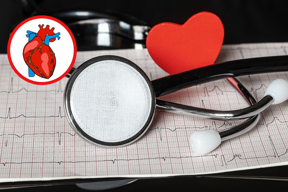 Dos cosas que haces cada día y que dañan tu corazón como si fumaras