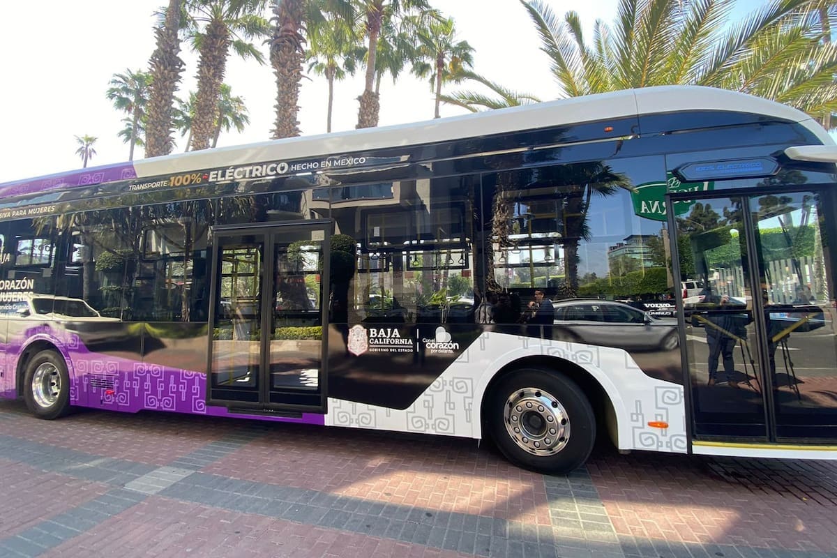 Transporte Violeta moviliza 700 pasajeros por camión en Tijuana