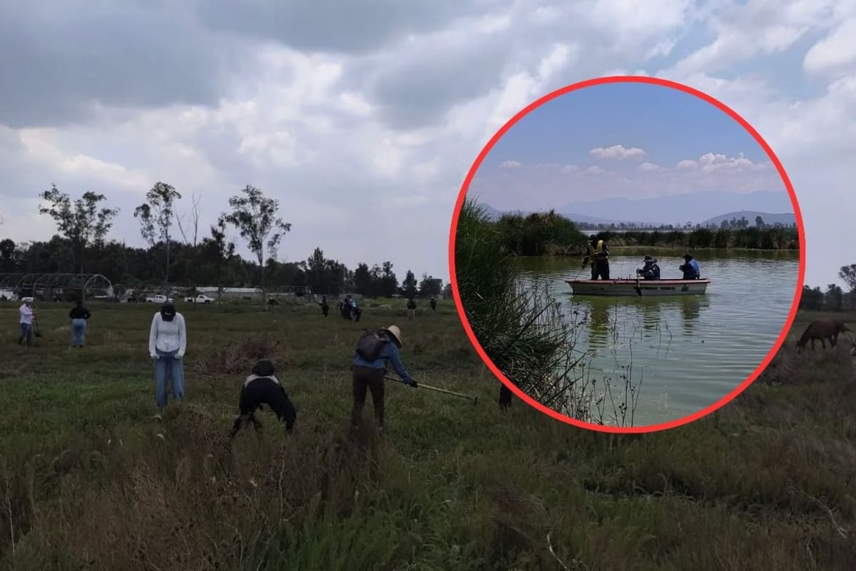 Colectivos de búsqueda hallan 219 restos óseos en límites de Chalco y El Xico; exigen identificación pronta y transparente