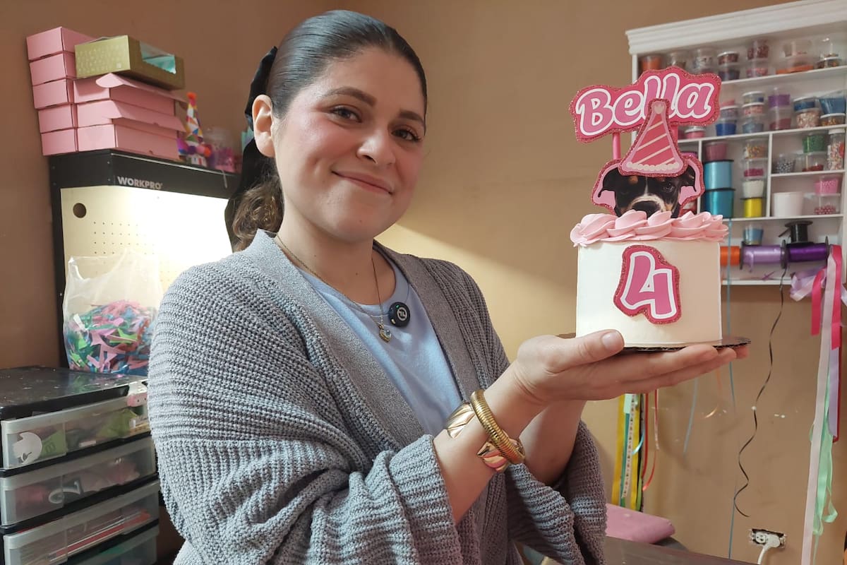 Los perros serán los más consentidos en Navidad