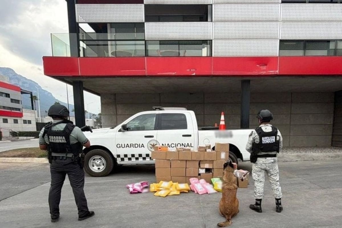 Guardia Nacional asegura 80 paquetes con droga que se enviaban a 22 estados desde Nuevo León