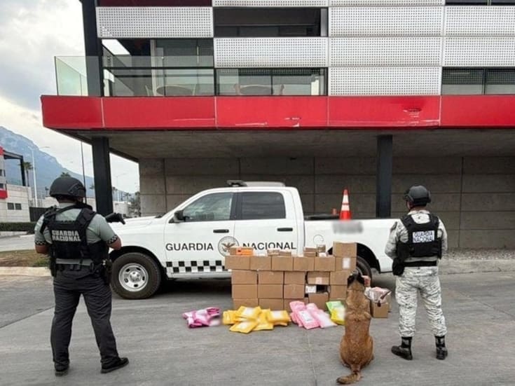 Guardia Nacional asegura 80 paquetes con droga que se enviaban a 22 estados desde Nuevo León