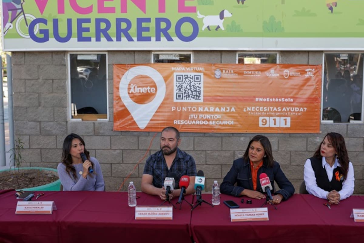 Será Parque Vicente Guerrero Punto Naranja
