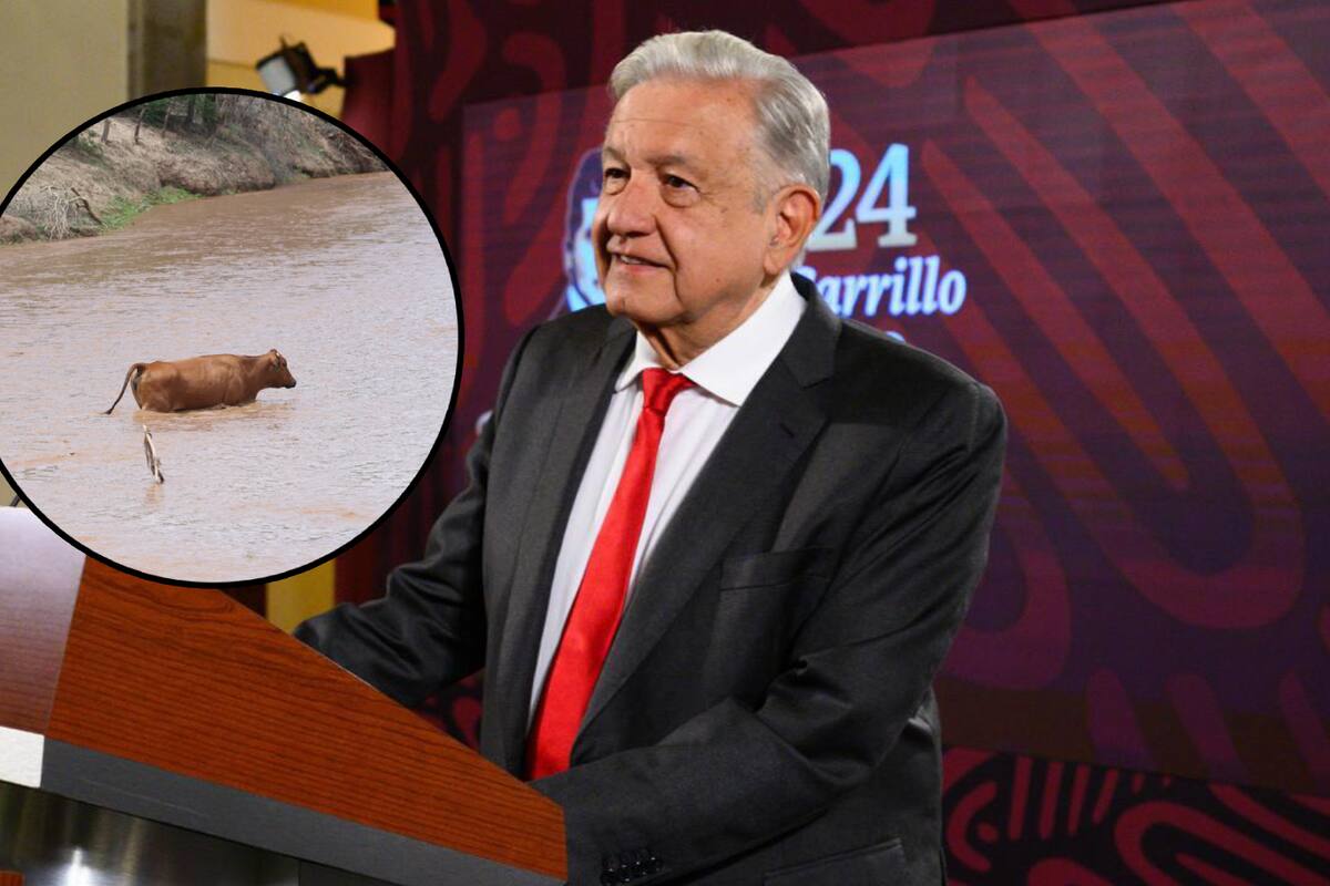 Demanda penal del gobierno contra Grupo México por derrame en Río Sonora sigue su curso y no hay carpetazo: AMLO