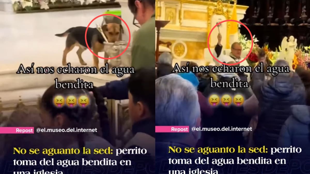 Perrito toma agua bendita en plena misa y, sin saberlo, el sacerdote la rocía después a los feligreses