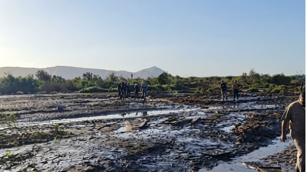 Localizan octavo cuerpo en Maneadero; podría ser menor desaparecido