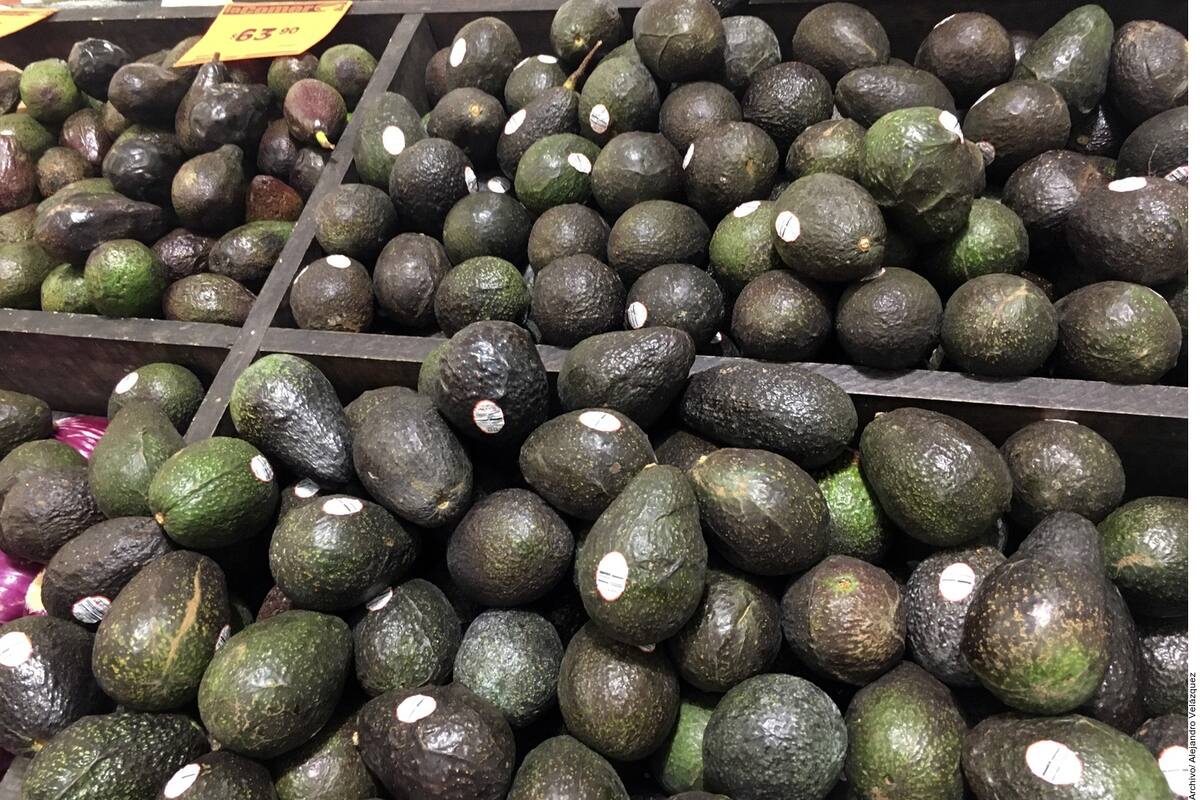 EU castiga a zona aguacatera de Michocán por violencia