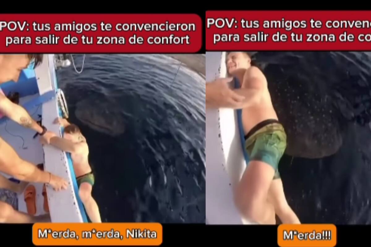 Joven es animado por sus amigos a acercarse a un tiburón ballena y termina en pánico