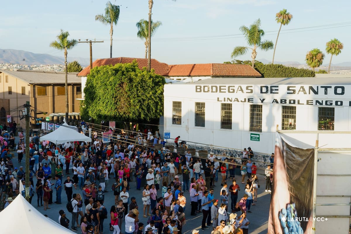 La Verbena de Santo Tomás reúne vino, arte y gastronomía