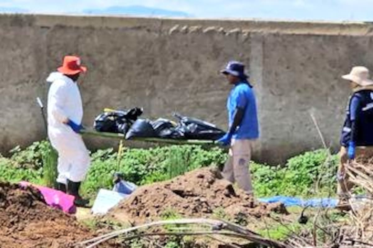 Hallan 215 bolsas con restos humanos en fosa clandestina de Zapopan; sería la más grande del año