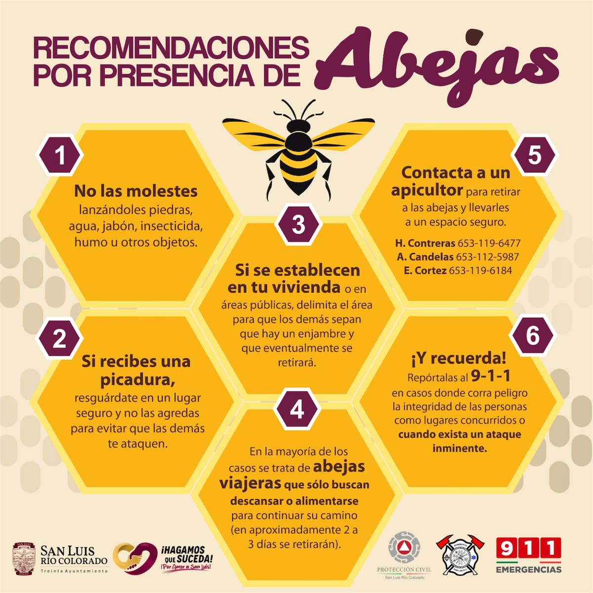 Con la llegada del calor, el Ayuntamiento advirtió sobre el incremento en la presencia de enjambres de abejas en San Luis Río Colorado, por lo que exhortaron a la población a tomar precauciones l Foto: Cortesía