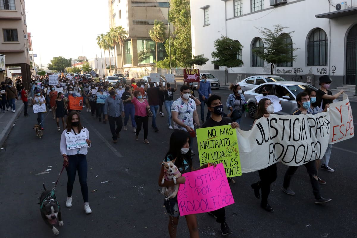 Rodolfo Corazón: Marchan cientos en Hermosillo por asesinato de perrito en Sinaloa