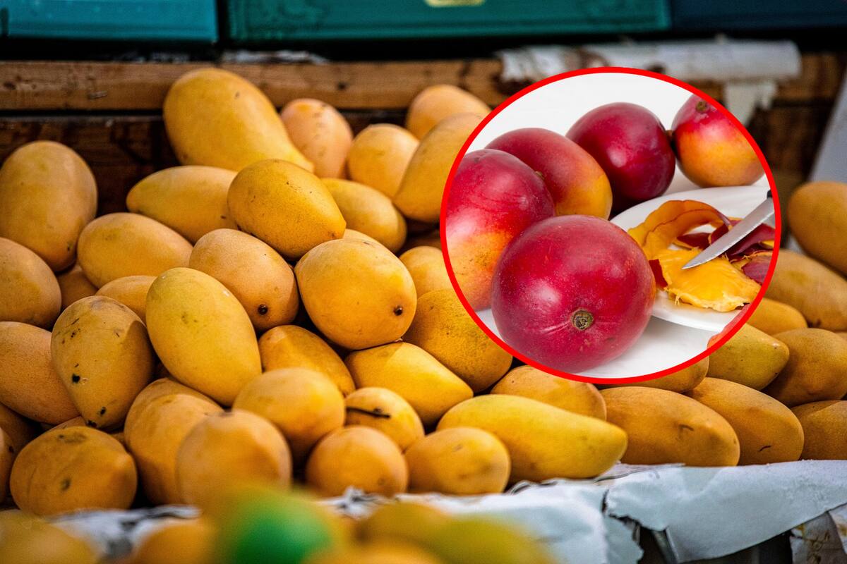Cuál es la fruta rica en potasio, vitaminas A, C y B, importantes para el sistema nervioso y la piel