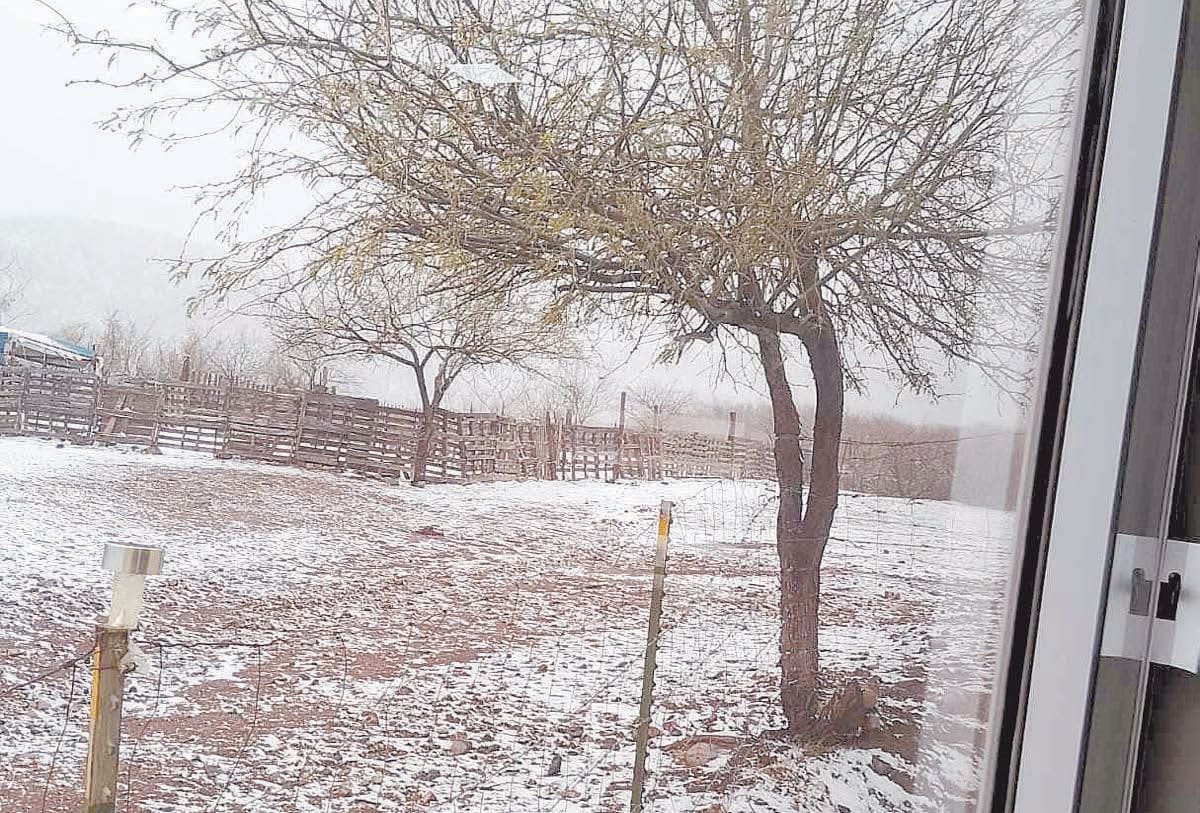 Una vista de la nevada que se registró en Nacozari de García. FOTO: VICENTE GARCÍA