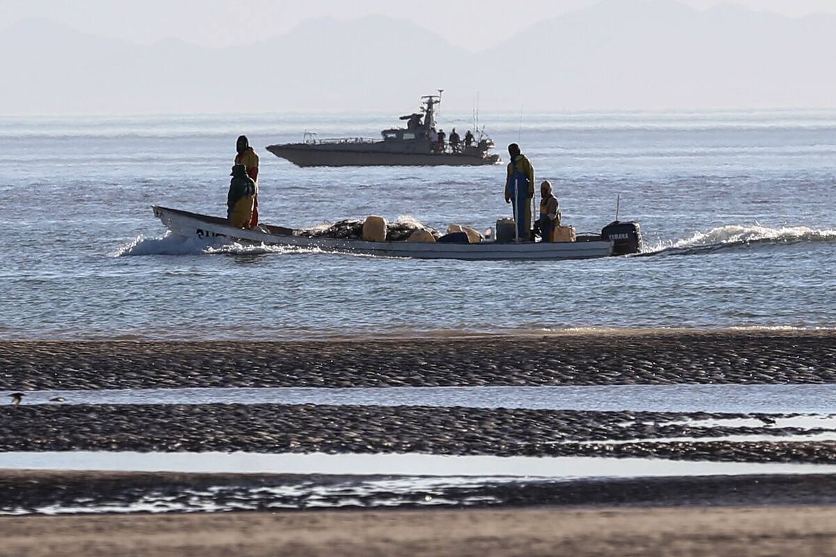 Guerra en Ucrania: Sector pesquero de BC percibe posible pérdida por conflicto