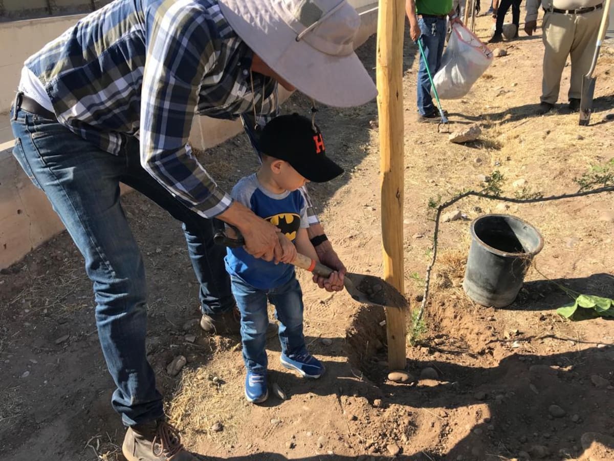 Las jornadas de reforestación se han realizado en conjunto entre ciudadanos, organizaciones civiles y autoridad.
