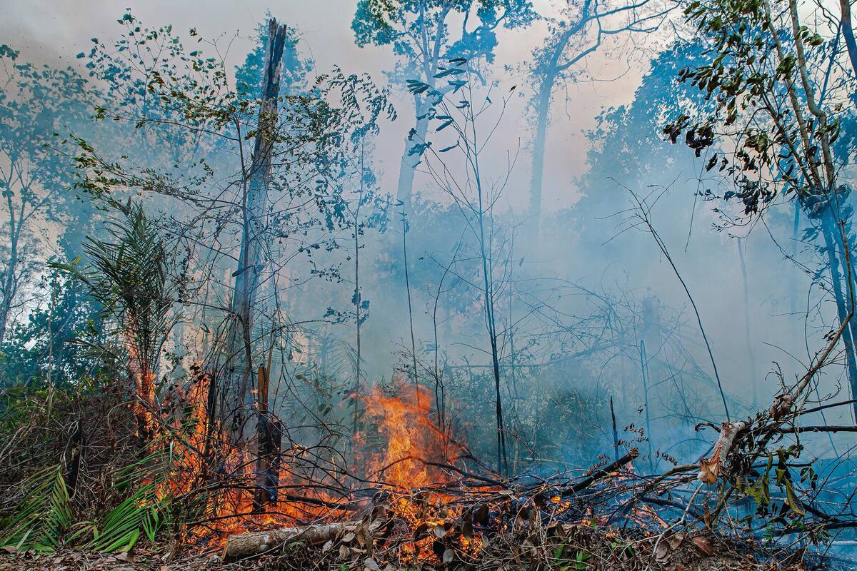 Áreas protegidas y pueblos indígenas, la esperanza de la Amazonía boliviana
