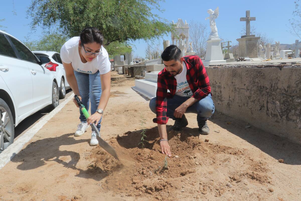 Hermosillo necesita 70 mil árboles