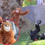 Inspirados por Punch el Zoológico de Phoenix explica por qué dio un peluche a Bodie, un siamang de 4 años
