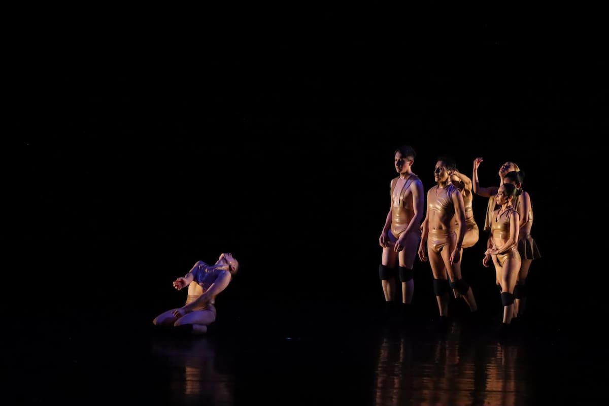 El Camino de la vida, pieza de la compañía Nemian