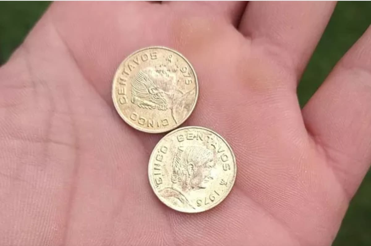 En Internet, en sitios de compra-venta se ofertan dos monedas de 5 centavos de 1975 en 10 mil pesos