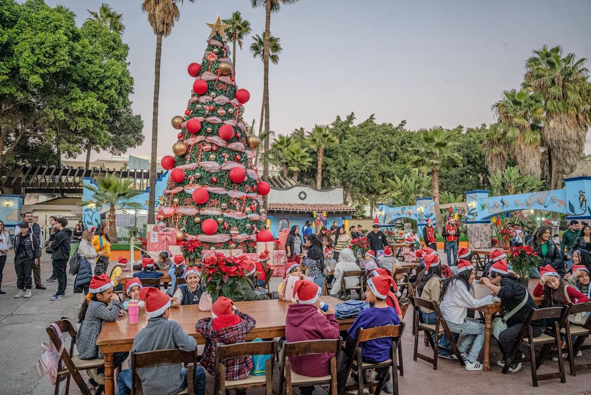 La Villa Navideña del Parque Morelos ofrece entrada gratuita, pasillo de piñatas gigantes, nacimiento, música en vivo y la posibilidad de tomarse la foto con Santa Claus. Foto: Border zoom