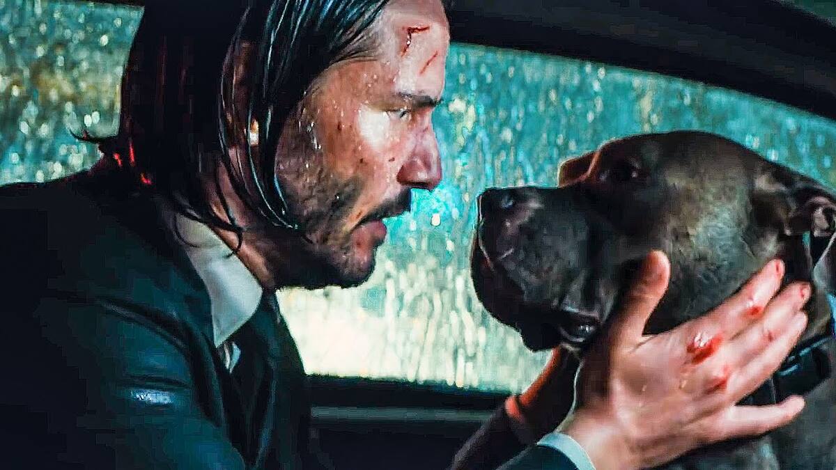Dog: El pitbull de John Wick que se convirtió en símbolo de lealtad y amor incondicional.