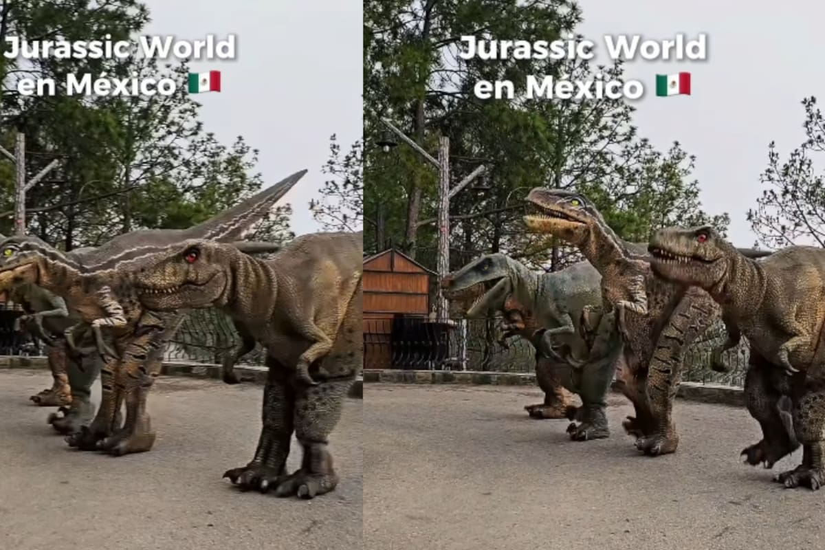 “Dinosaurios mexicanos, qué orgullo”: captan a animatrónicos bailando “Payaso de Rodeo” y se vuelven virales