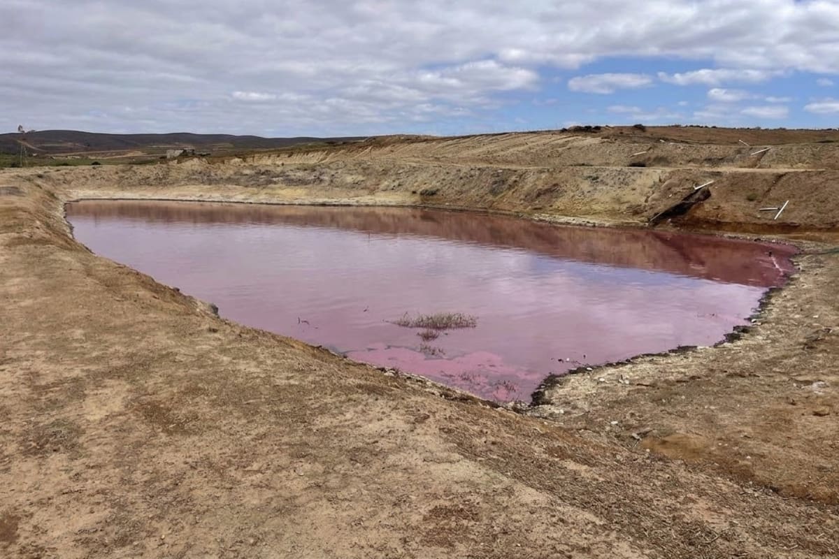 Denuncian descargas de aguas residuales en San Quintín desde 2025
