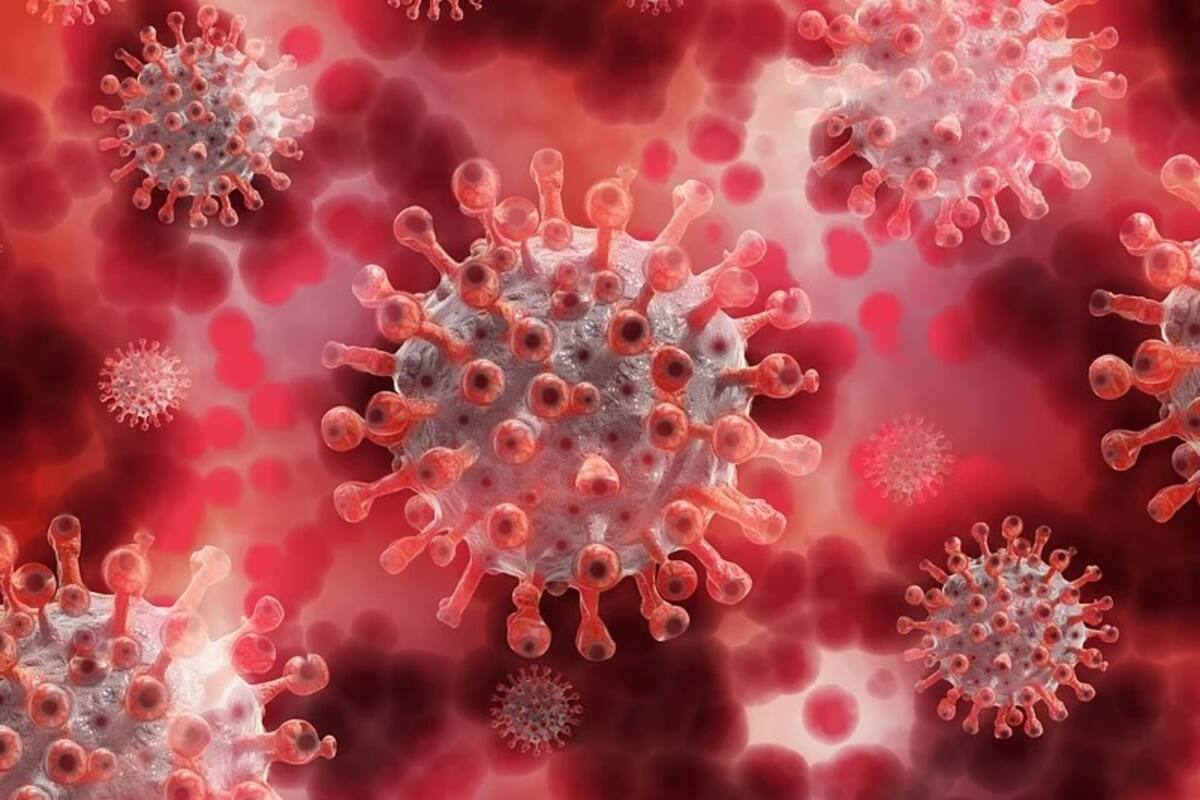 Conferencia Salud Sonora sobre coronavirus pasadas las 20:30 horas