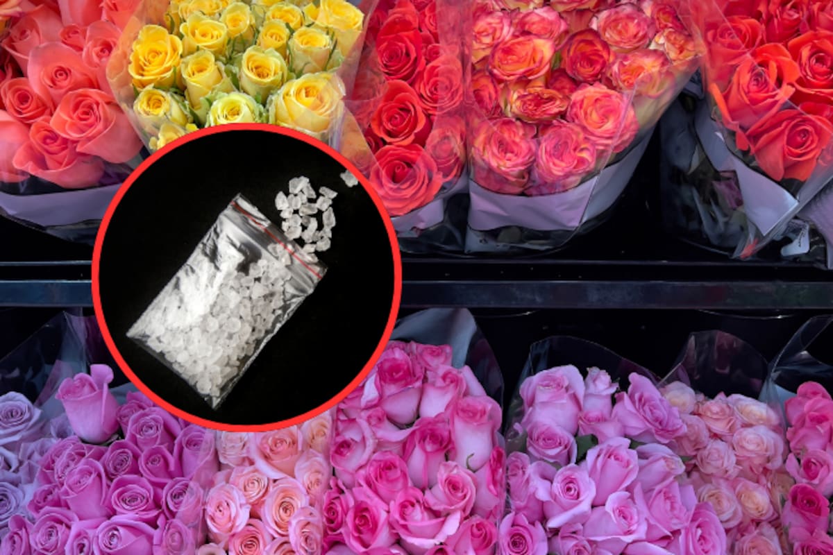 Texas: Incautan 389 kilos de metanfetamina escondida en cargamento de rosas