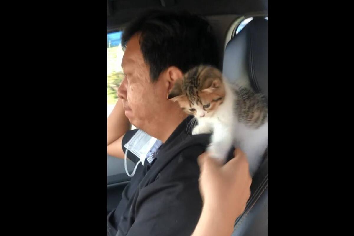 VIDEO: Mujer intenta acercarse a su esposo y su mascota se lo impide