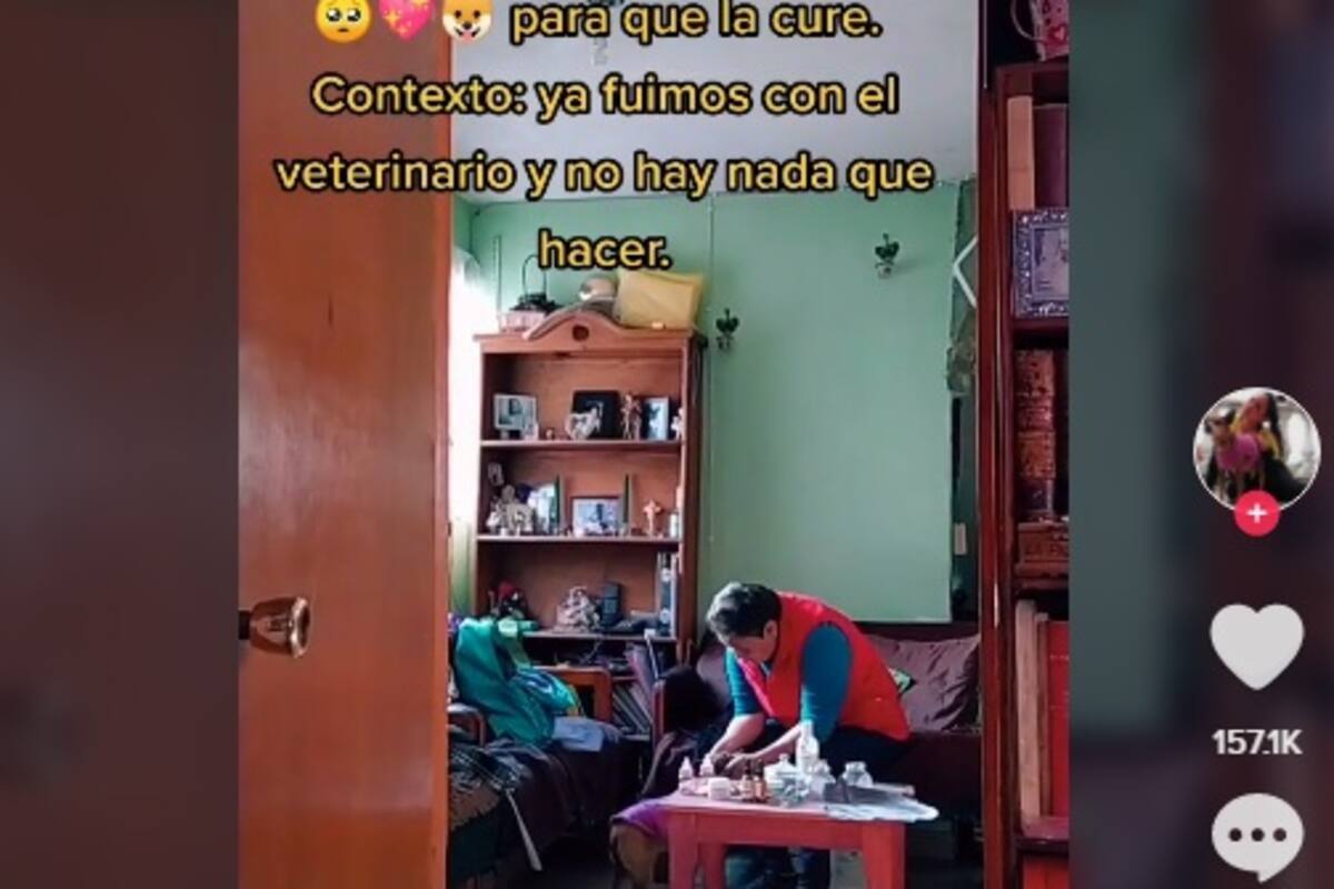 Mujer pide a su perrita enferma que rece para curarse; se hace viral