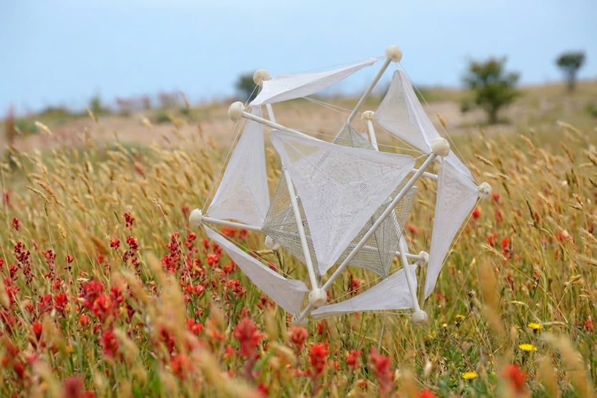 El diseño biodegradable se integra al suelo tras cumplir su función de siembra. Foto: Especial ilustrativa