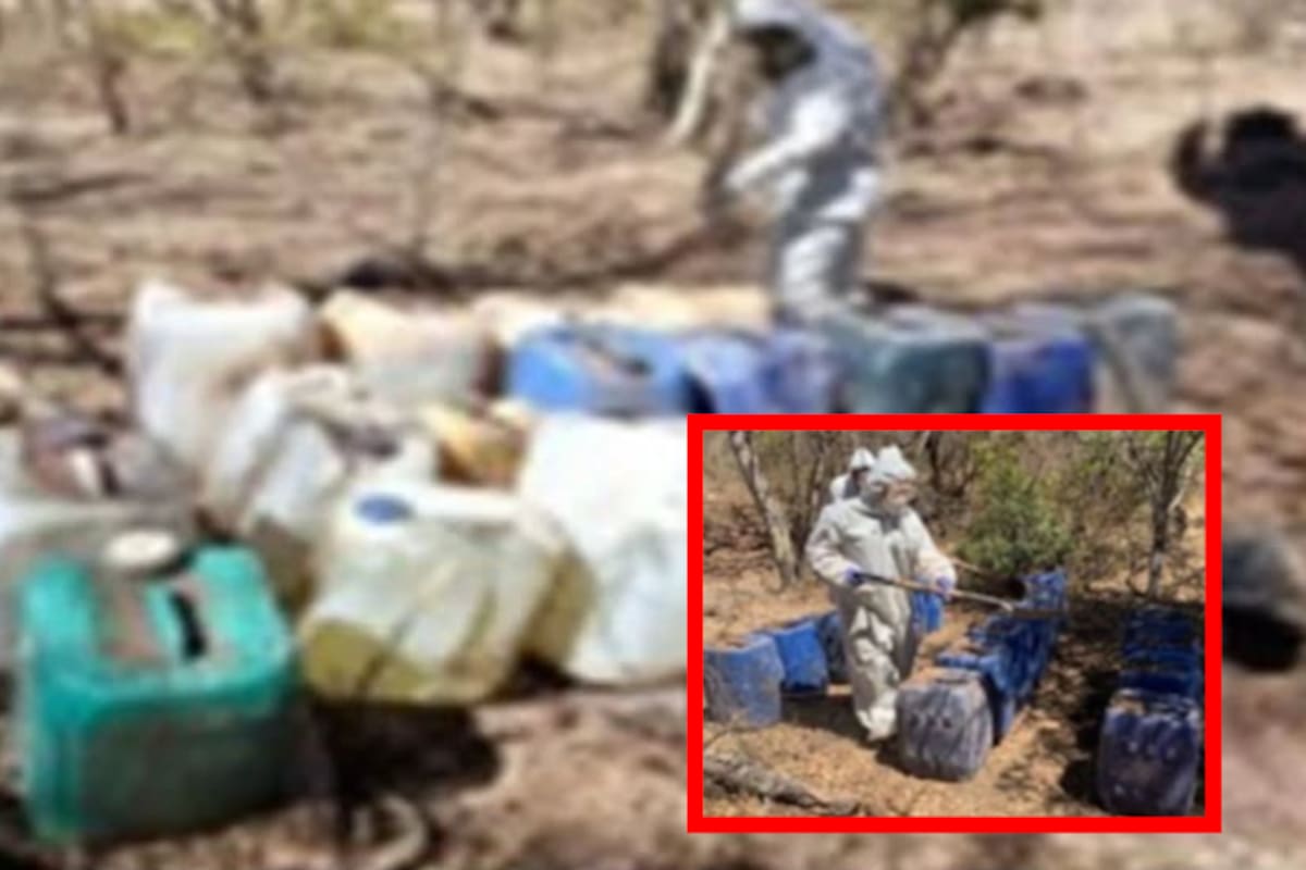 Desmantelan 9 laboratorios clandestinos en Culiacán y Cosalá
