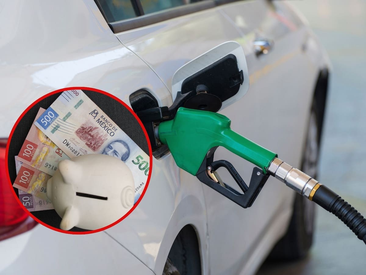 La Secretaría de Energía aseguró que el control de precios seguirá vigente para contener la inflación y proteger el bolsillo de las familias | Crédito: Canva