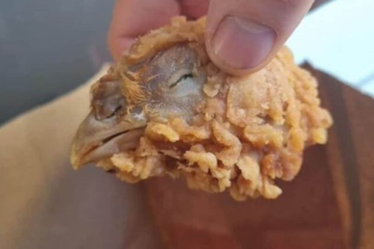 Mujer encuentra una cabeza de pollo frita en su combo de KFC