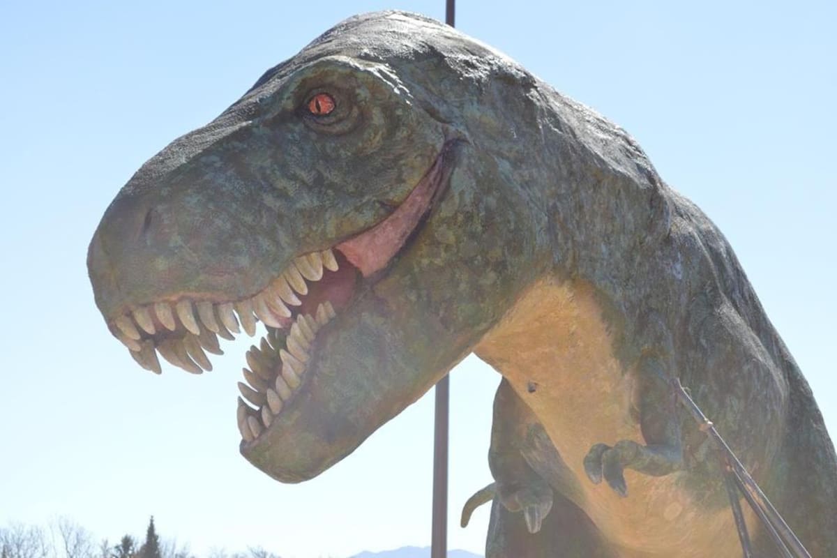 Recibirá gran dinosaurio a visitantes en Esqueda