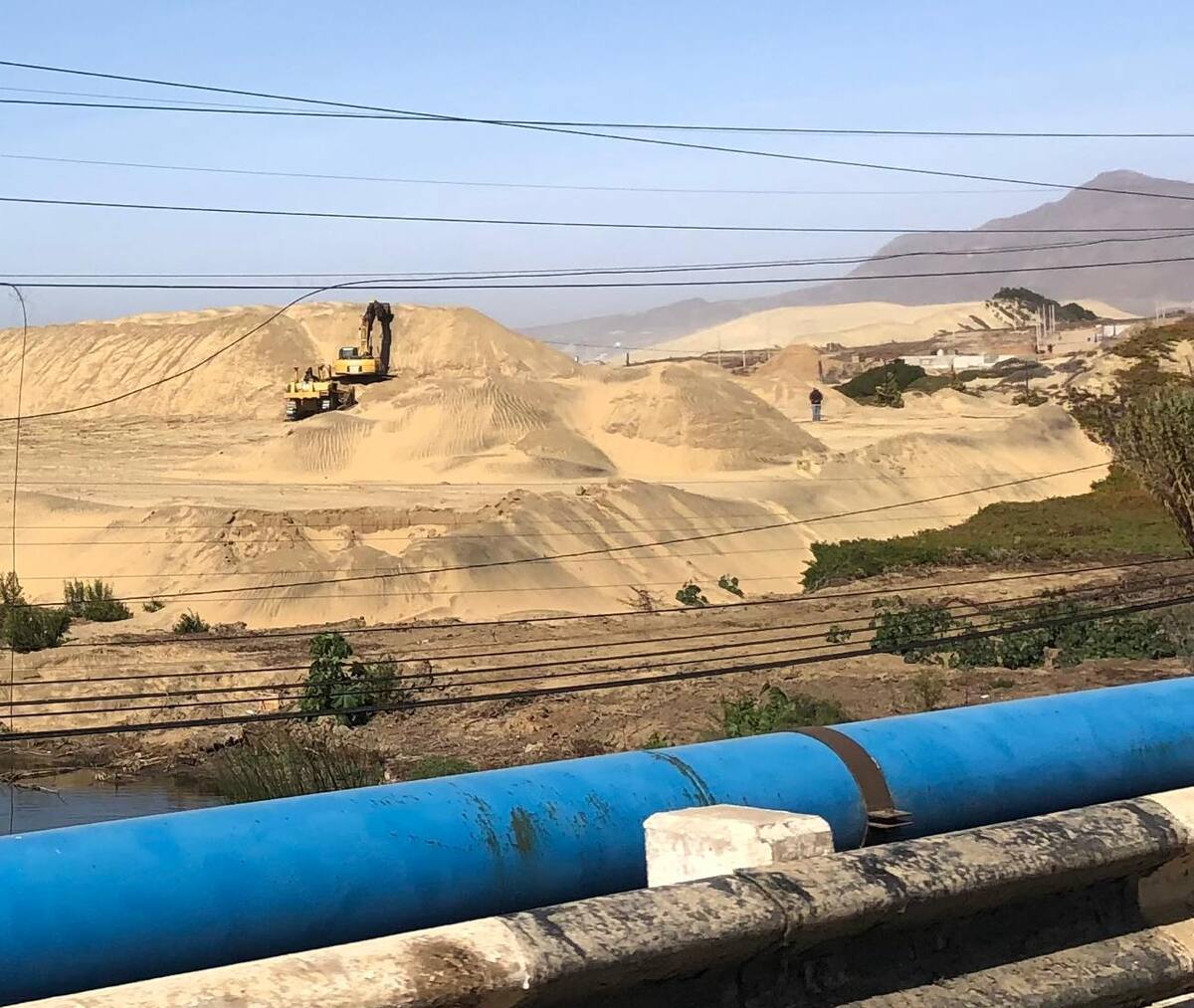 Foto: Carmen Gutiérrez