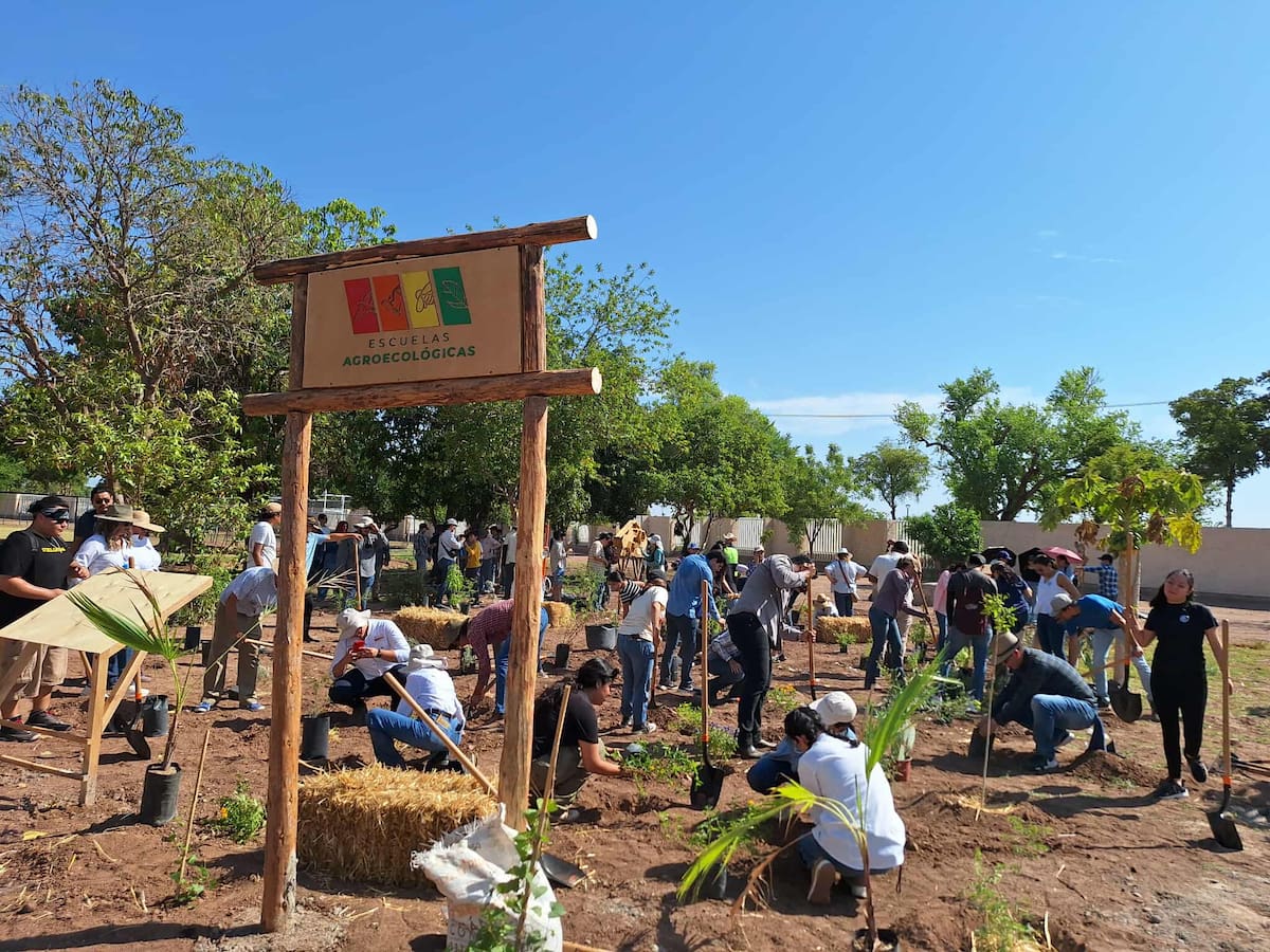 Así luce el nuevo jardín donde los colibríes y mariposas encuentran refugio en Itson. FOTO: Mayra Echeverría