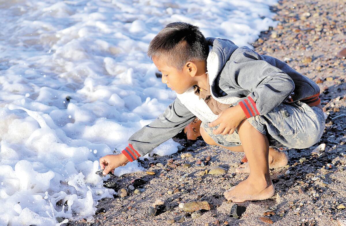 El niño Cristián Rivera, de 8 años, muestra dos ejemplares de tortugas que fueron liberadas en la comunidad del Desemboque de los Seris; Cristian ayuda para que las crías que se vayan quedando entre las piedras puedan llegar hasta el mar.