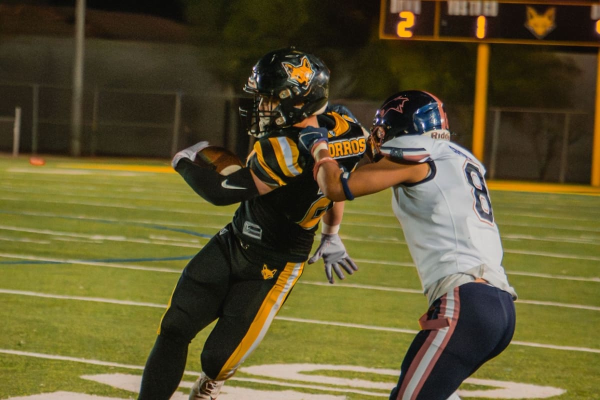 Zorros apaleó a Gorilas