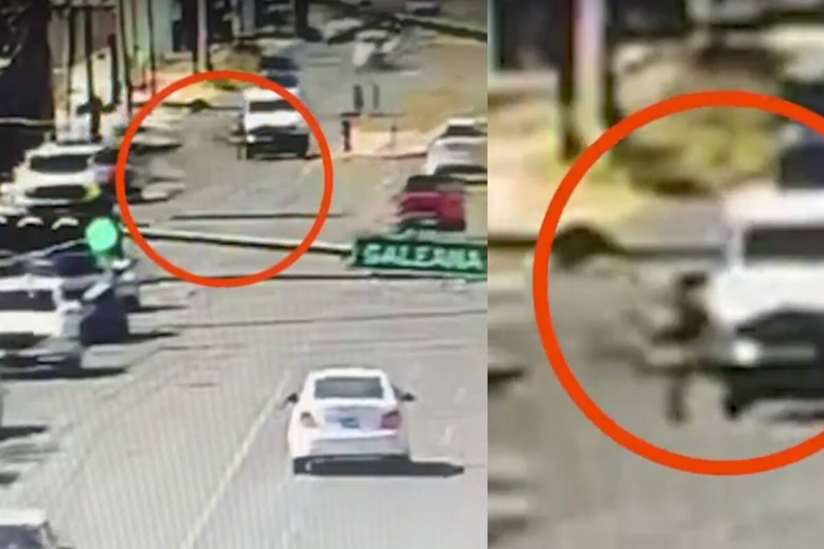 Ciclista es atropellado por un vehículo oficial; Fiscalía determina que el conductor no tuvo responsabilidad