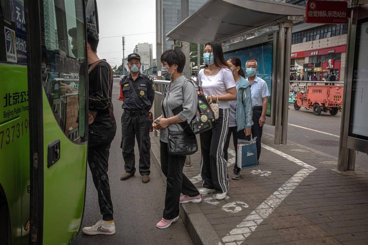 Inmunidad de rebaño: ¿qué es esta práctica que por audio viral se le adjudica a Suecia?