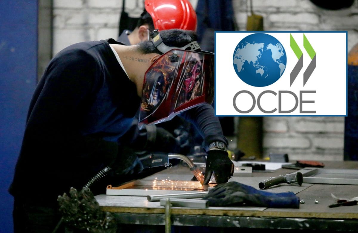 México tuvo una tasa desempleo del 3 % en enero 2026 y se une a Japón y Corea del Sur como los mercados laborales más sólidos de toda la OCDE | Archivo GH