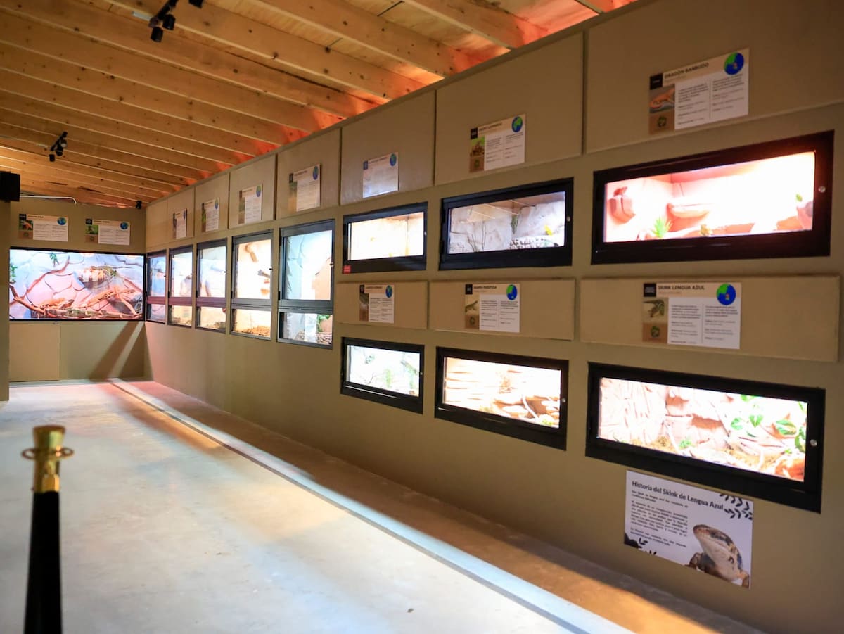 Foto: Juan J. Morales